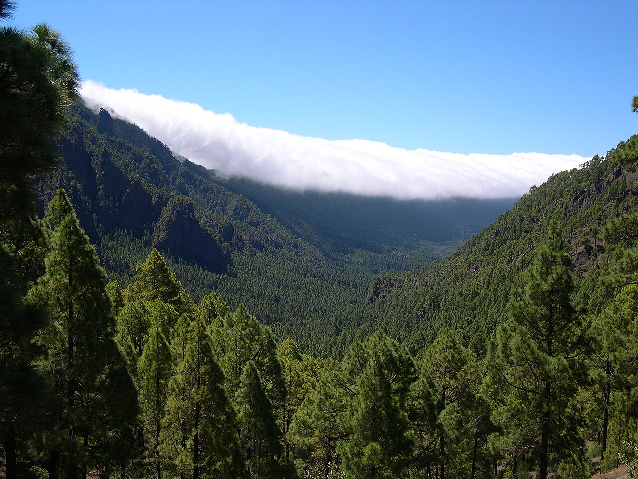 La Palma: imagen de archivo sobre el tema de la noticia
