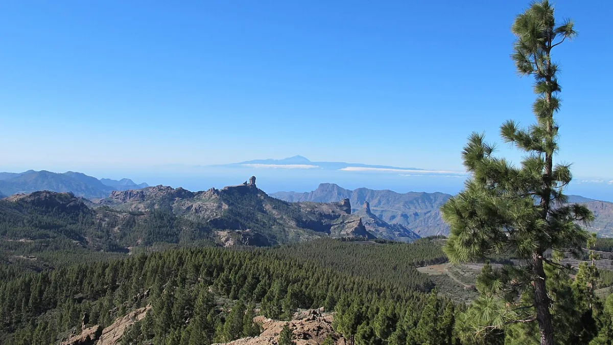 Gran Canaria: imagen de archivo sobre el tema de la noticia