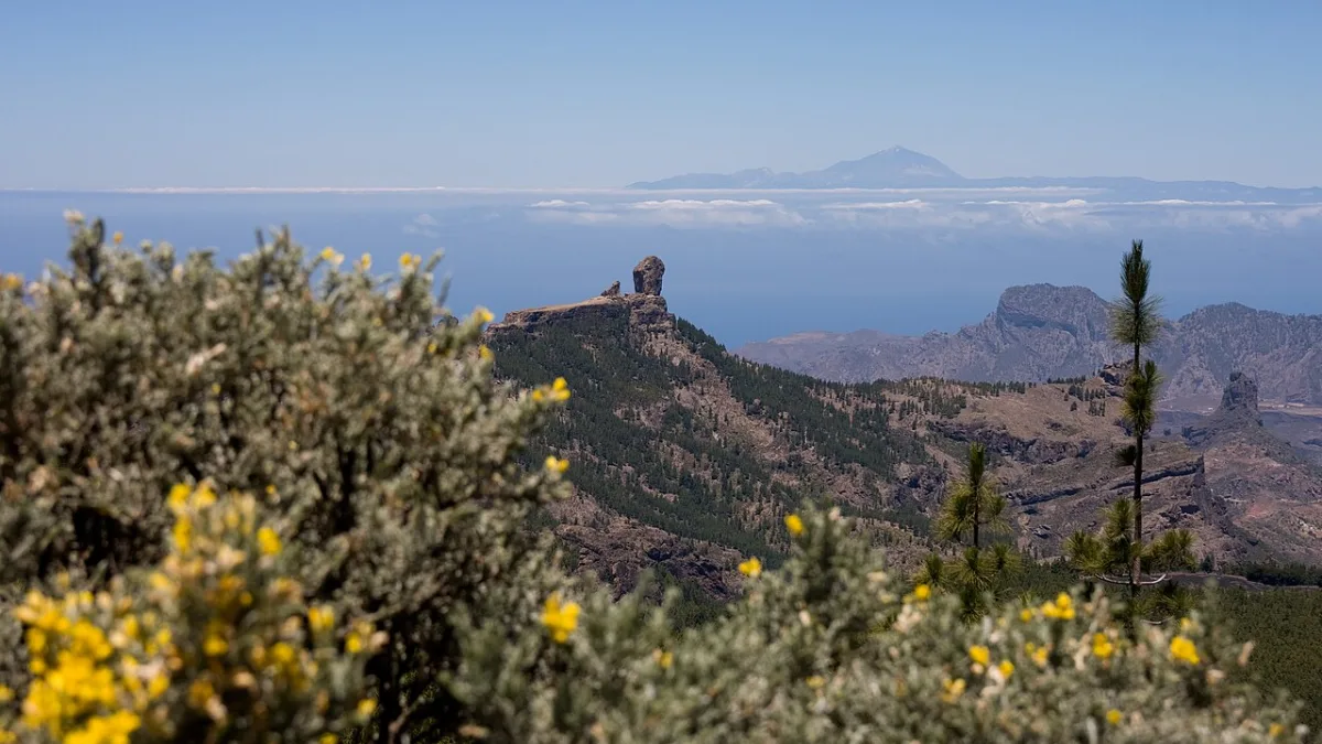 <a href=" http://www.fotografiasdegrancanaria.com " rel="noreferrer nofollow">www.fotografiasdegrancanaria.com</a> <a href=" http://elcoleccionis