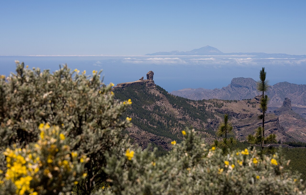<a href=" http://www.fotografiasdegrancanaria.com " rel="noreferrer nofollow">www.fotografiasdegrancanaria.com</a> <a href=" http://elcoleccionis