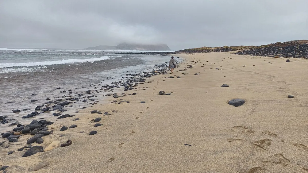 Arenales y vegetación costera en la playa de Baja del Ganado, en La Graciosa